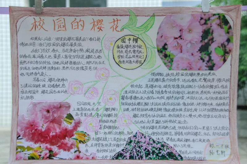 1524904966751420.jpg 7.webp.jpg