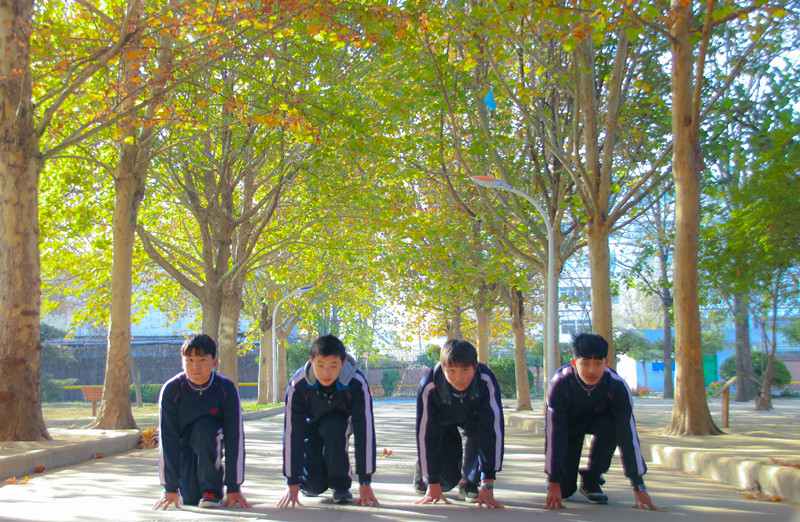 1540363719754745.jpg IMG_9413_副本.jpg