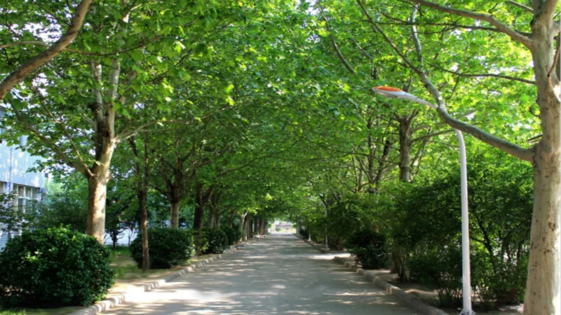 1553132326843988.jpg 640_wx_fmt=jpeg&tp=webp&wxfrom=5&wx_lazy=1&wx_co=1.webp (9)_meitu_10.jpg