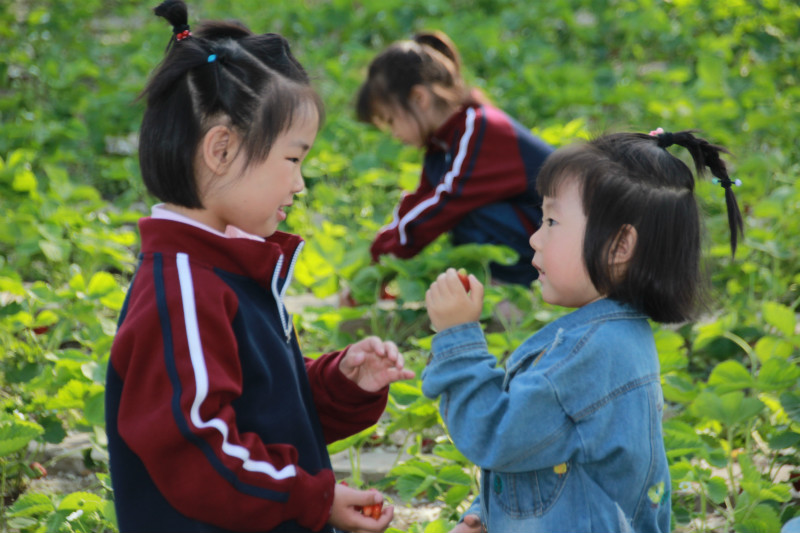 1557974879705181.jpg 4_meitu_9.jpg