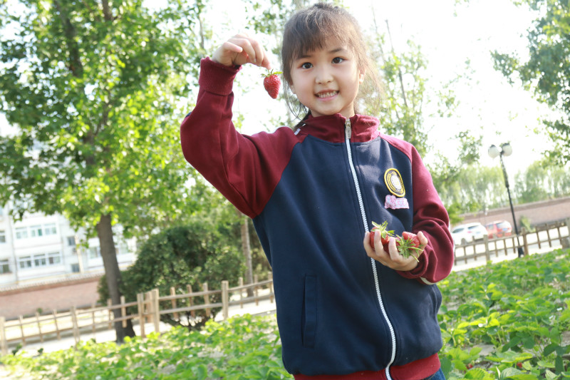 1557974905225460.jpg 微信图片_20190508083531_meitu_3.jpg