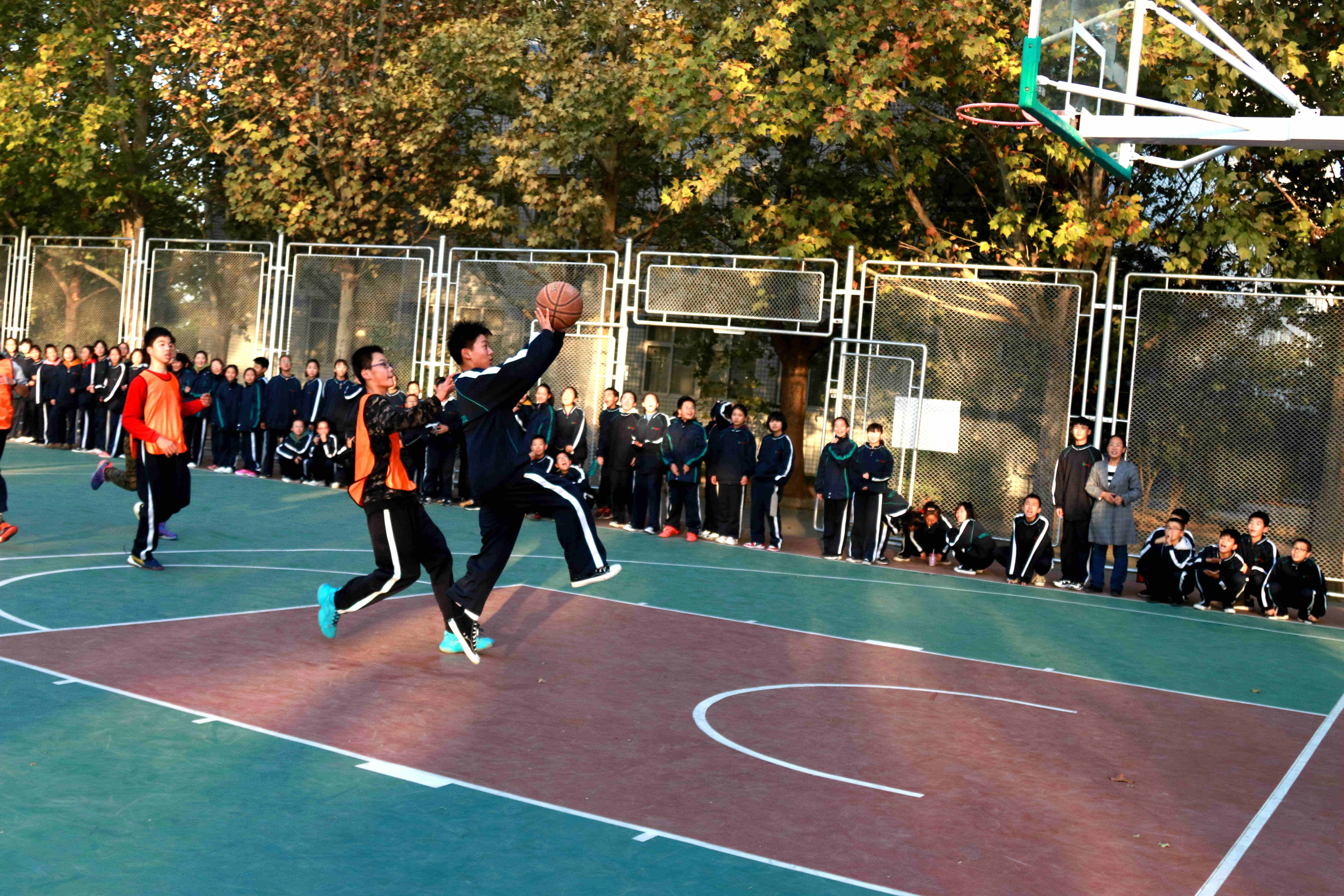 1573006906712479.jpg IMG_5329.JPG