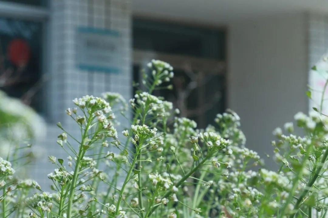 1585211438918586.jpg