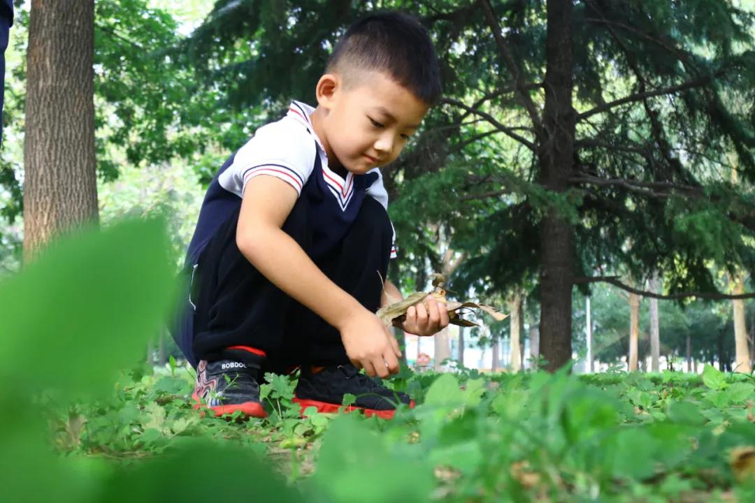 1600909501219118.jpg 5.jpg