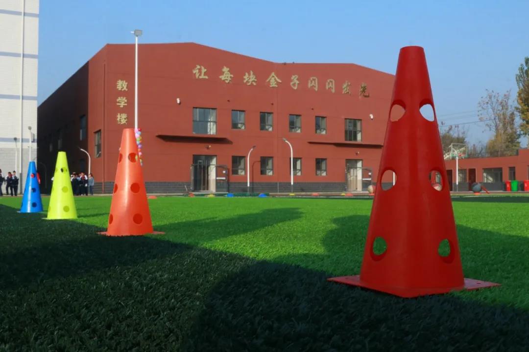1605339950632513.jpg 2.jpg