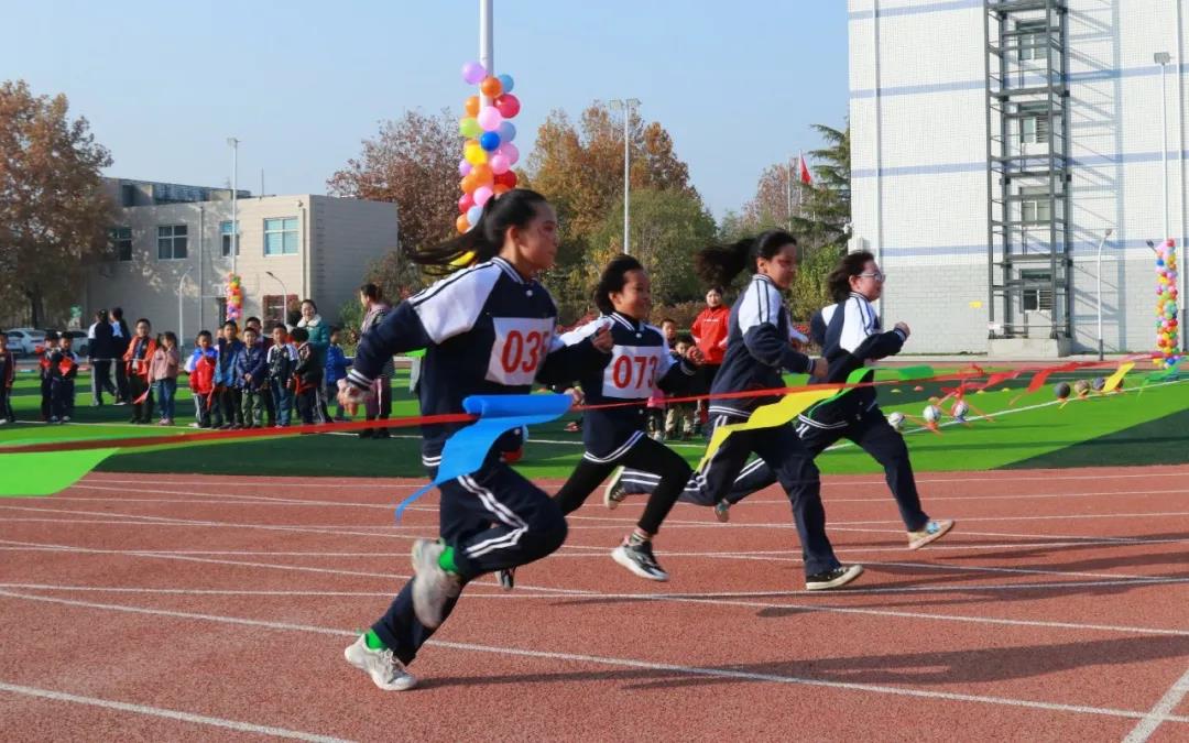 1605340061134255.jpg