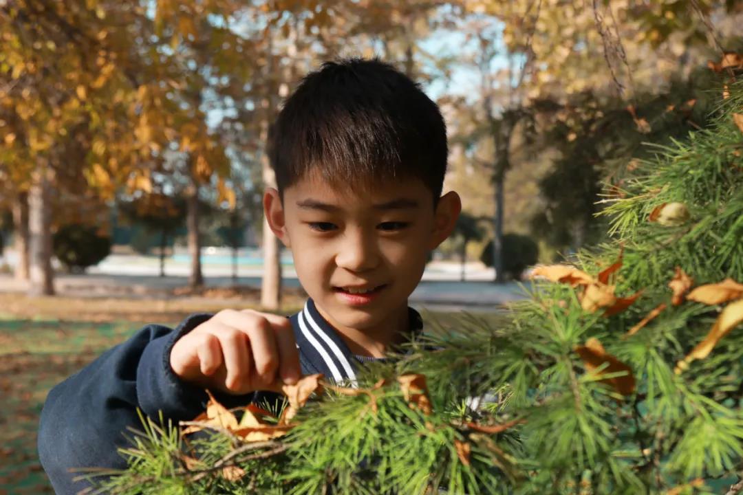 1605755730151761.jpg