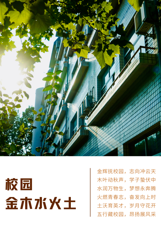 1731893232716625.png image.png