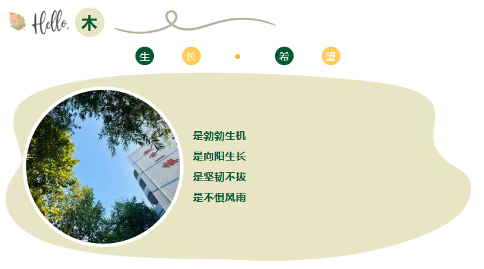 1731893488987685.png image.png